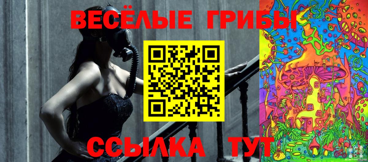 Псилоцибиновые грибы MAGIC MUSHROOMS  Вход с VPN  Алексин 