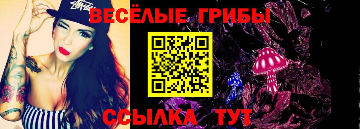 Псилоцибиновые грибы MAGIC MUSHROOMS Алексин