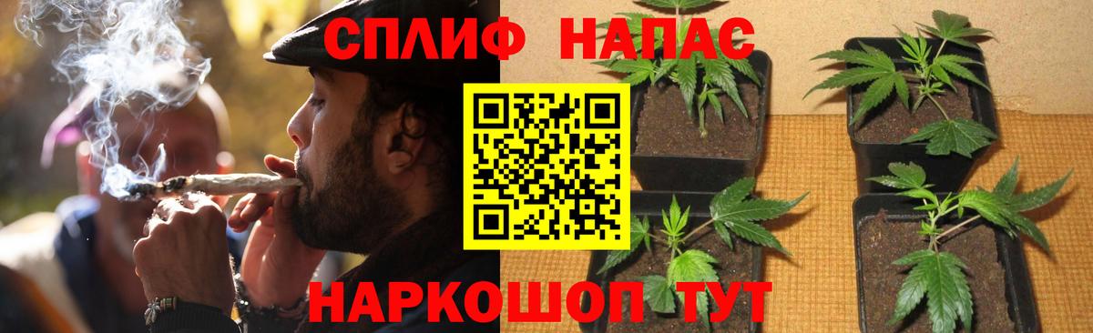 Алексин  Канабис White Widow  Бошки Шишки White Widow  Вход с VPN  Шишки марихуана LSD WEED 